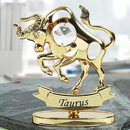 Taurus Art Piece