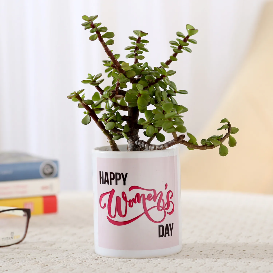 JADE PLANT IN HAPPY WOMEN’S DAY WHITE POT