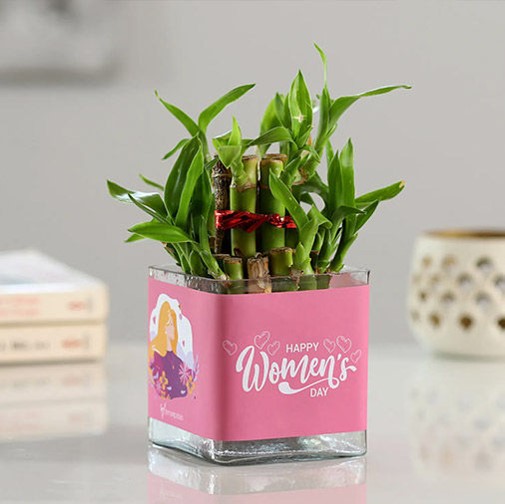 PERSONALIZED GLASS POT WITH 2 LAYER BAMBOO PLANT
