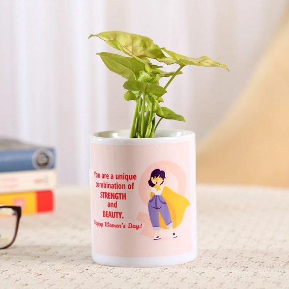 SYNGONIUM PLANT IN WOMEN’S DAY SPECIAL POT