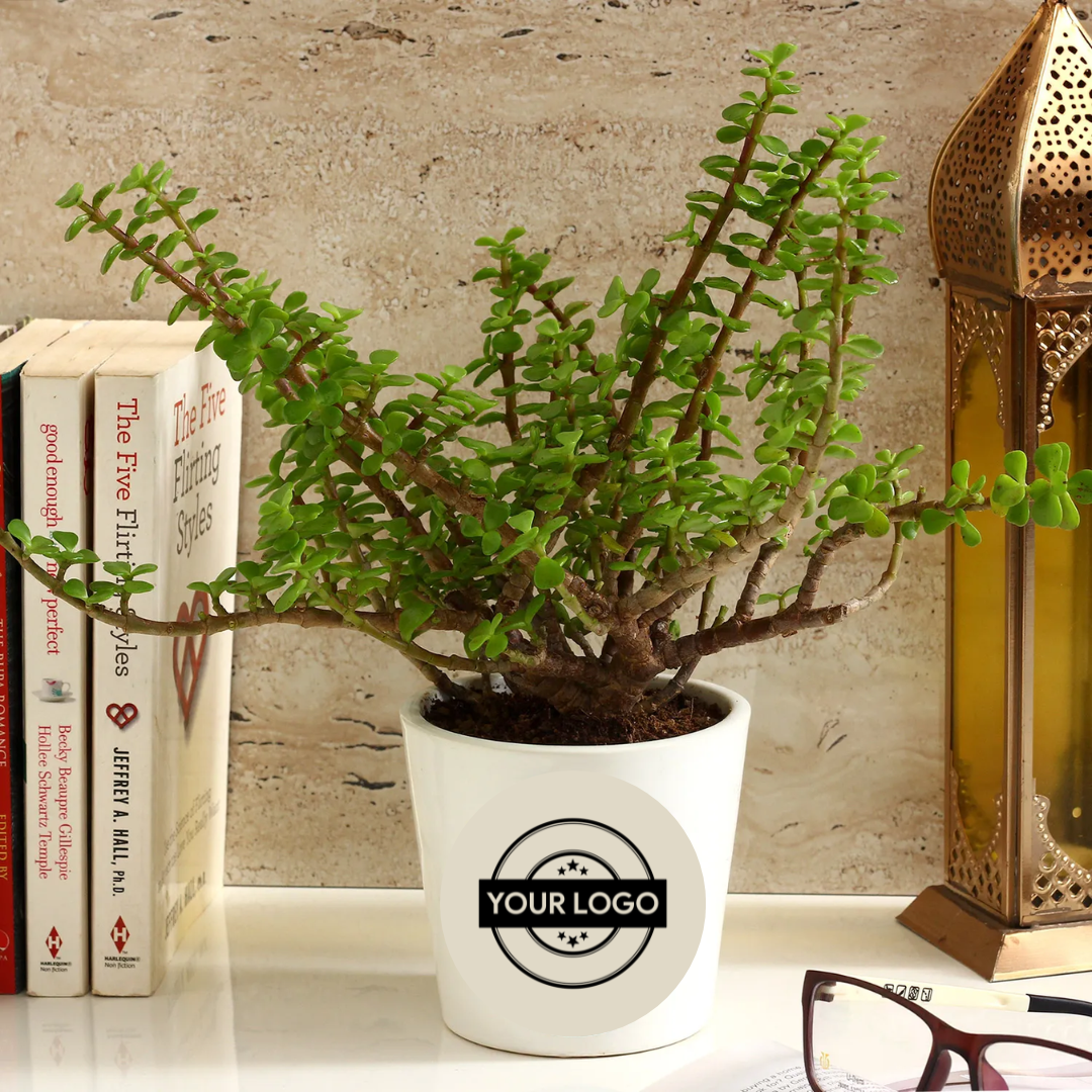 Halo Premium Vacuum Flask