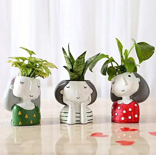 Set Of 3 Green Plants In Cute Girl Pots